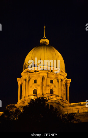 Vista notturna del Palazzo Reale, Budapest, Ungheria Foto Stock