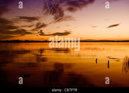 Dromod, Dromod Harbour, porto, nella Contea di Leitrim, Irlanda occidentale, l'occidente, irlandese, tramonto, lago, sera, porto vuoto,imbarcazioni,fiume, Foto Stock