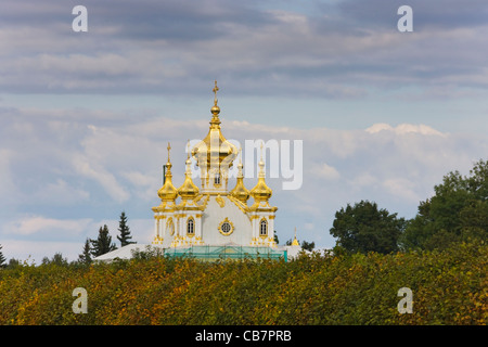 Peterhof Palace Petrodvorest, San Pietroburgo, Russia Foto Stock