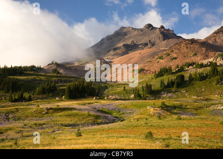 WASHINGTON - ricoperto di fiori prato sotto i vertici della capra rocce al piatto Snowgrass nelle rocce di capra deserto. Foto Stock