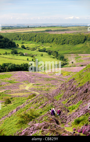Walkers sul sentiero a sud di heather foro coperto di Horcum moor terra. North York Moors National Park, Inghilterra. Estate Foto Stock