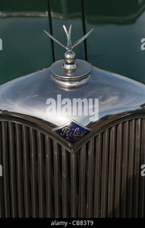 Riley car la griglia del radiatore il cappuccio terminale emblema Foto Stock