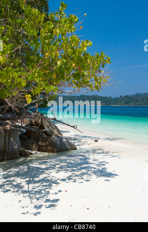 Vista da una delle numerose piccole spiagge su Ko Rawi isola, Thailandia Foto Stock