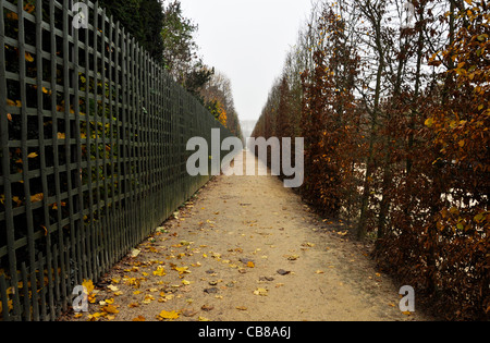 Straight footpath in autumn, Versailles gardens, France Foto Stock