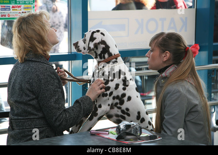 Due ragazze con un cane dalmata Foto Stock