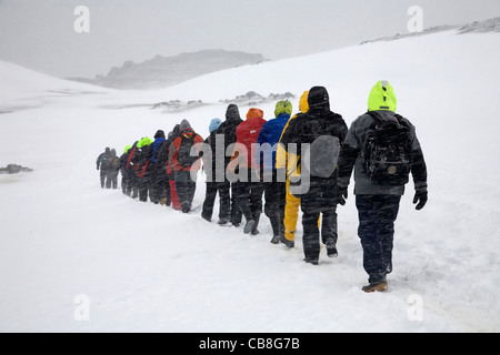 I turisti a piedi in linea nella neve per esplorare Barrientos isola, a sud le isole Shetland, Antartide Foto Stock