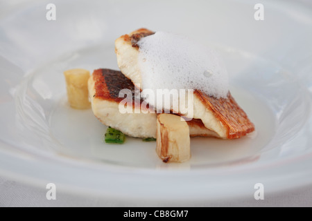 Sama i filetti di pesce alla griglia e servito con asparagi bianchi e una mousse di lime Foto Stock