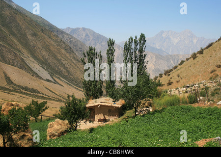 Casa e giardino in valle Isfayramsai, Alay ridge, soutehrn Kirghizistan Foto Stock