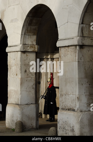Soldato da Blues e Royals di sentinella a cavallo protezioni, Whitehall, Londra Foto Stock