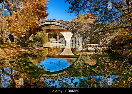 Il Kaberaga (o 'Kaber Aga'), un antico ponte in pietra, vicino al villaggio di Miliotades, Est Zagori regione, Ioannina, Epiro, Grecia. Foto Stock