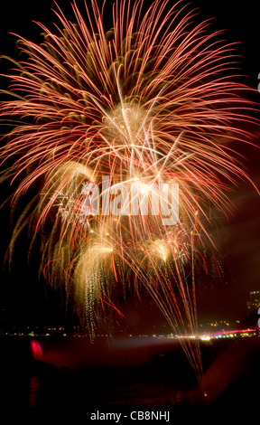 Fuochi d'artificio su Niagara Falls, Ontario, Canada. Parte del 2011/2012 Festival invernale della celebrazione delle luci. Foto Stock