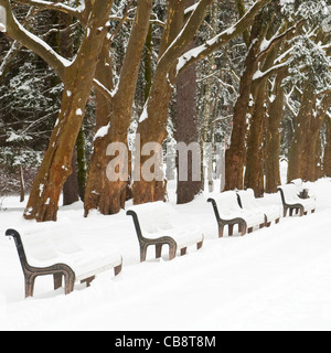 Panchine in un parco coperto di neve Foto Stock