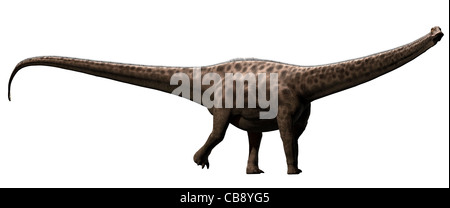 Diplodocus era un genere di dinosauri sauropodi diplodocidi, i cui fossili sono stati scoperti per la prima volta nel 1877 Foto Stock