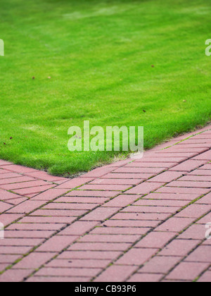 Giardino percorso in pietra con erba cresce tra e attorno alle pietre, mattoni marciapiede Foto Stock