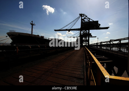 Dockside gru di scarico in silhouette. Foto Stock