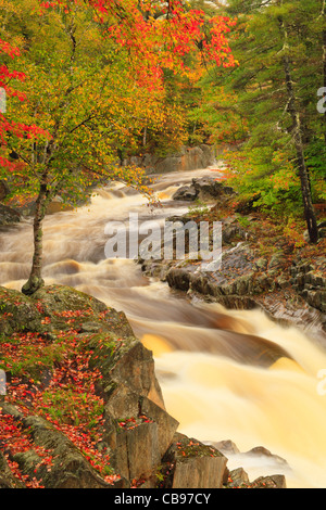 Coo Canyon del Fiume Swift, Byron, Maine, Stati Uniti d'America Foto Stock