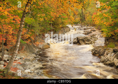 Coo Canyon del Fiume Swift, Byron, Maine, Stati Uniti d'America Foto Stock