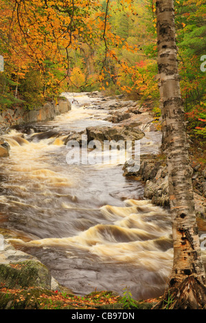 Coo Canyon del Fiume Swift, Byron, Maine, Stati Uniti d'America Foto Stock