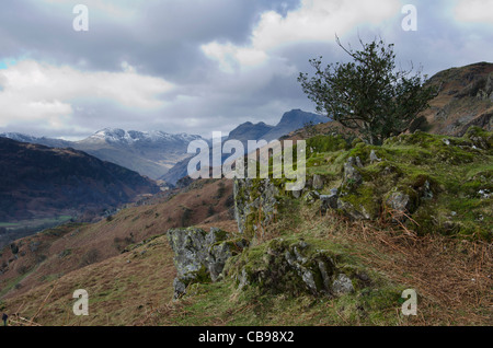 Una vista di grande Langdale, dalla piccola strada tra Red Bank e Eleterwater. Foto Stock