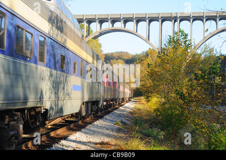 Un treno passeggeri sotto un alto ponte in una zona panoramica Foto Stock