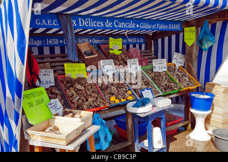 Pressione di stallo di ostriche, Cancale, Brittany, Francia, Europa Foto Stock