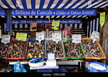 Pressione di stallo di ostriche, Cancale, Brittany, Francia, Europa Foto Stock