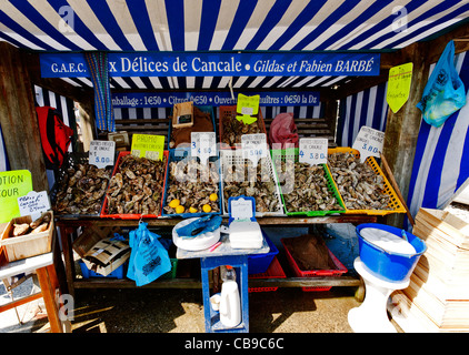 Pressione di stallo di ostriche, Cancale, Brittany, Francia, Europa Foto Stock