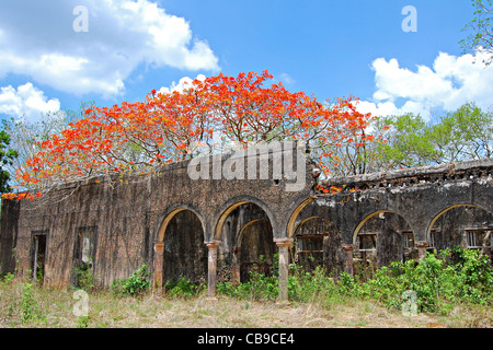 Hacienda dei Tabi rovine, Ruta Puuc, Yucatan, Messico Foto Stock