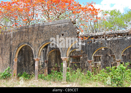 Hacienda dei Tabi rovine, Ruta Puuc, Yucatan, Messico Foto Stock