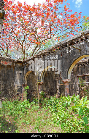 Hacienda dei Tabi rovine, Ruta Puuc, Yucatan, Messico Foto Stock