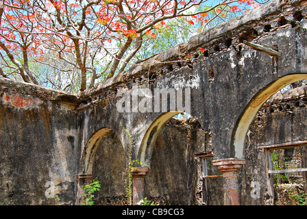 Hacienda dei Tabi rovine, Ruta Puuc, Yucatan, Messico Foto Stock