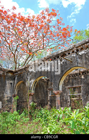 Hacienda dei Tabi rovine, Ruta Puuc, Yucatan, Messico Foto Stock