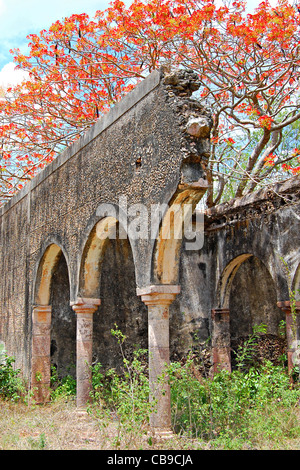 Hacienda dei Tabi rovine, Ruta Puuc, Yucatan, Messico Foto Stock