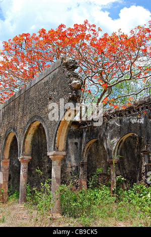 Hacienda dei Tabi rovine, Ruta Puuc, Yucatan, Messico Foto Stock