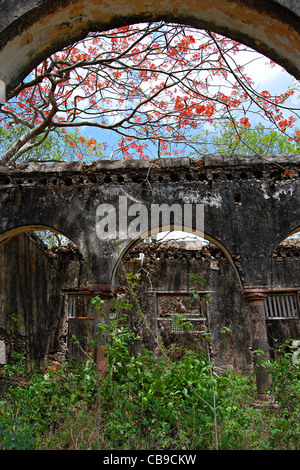 Hacienda dei Tabi rovine, Ruta Puuc, Yucatan, Messico Foto Stock