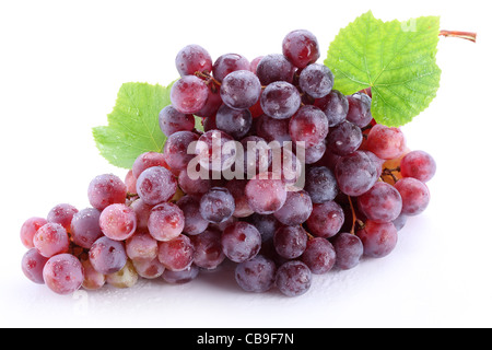 Grappolo di uva con foglie isolate su uno sfondo bianco Foto Stock