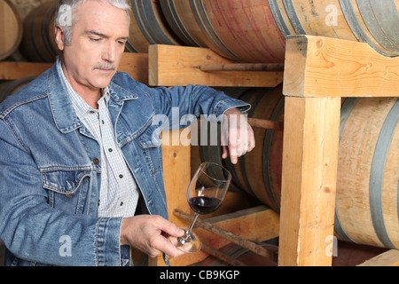 Uomo in cantina Foto Stock