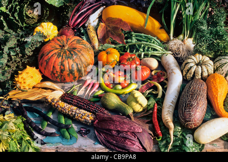 Visualizzazione di colorato assortimento di prodotti freschi ortaggi di stagione e verdure come ingredienti per un sano e nutriente per la cottura Foto Stock