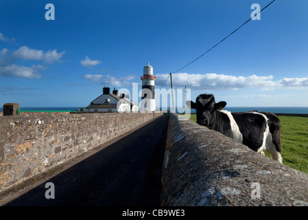 Il mio Capo Faro, anello penisola, nella contea di Waterford, Irlanda Foto Stock