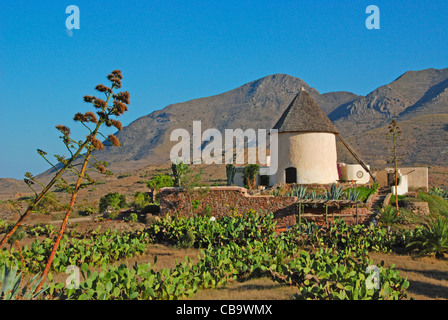 Un cactus Agriturismo nel Parco Nazionale Cabo de Gata nella regione di Almeria in Spagna, con un giro di edificio con tetto in paglia e sulle montagne. Foto Stock