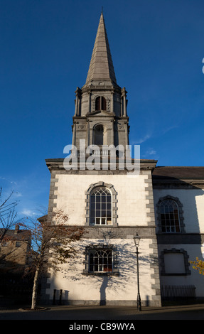 La Chiesa di Cristo C.I. Cattedrale, costruita da John Roberts 1773, città di Waterford, Irlanda Foto Stock