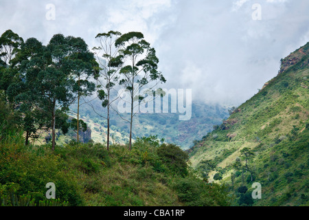 Usambara valle di montagna nel nord ovest della Tanzania. Foto Stock