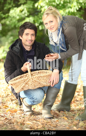 Accoppiare la raccolta delle castagne Foto Stock