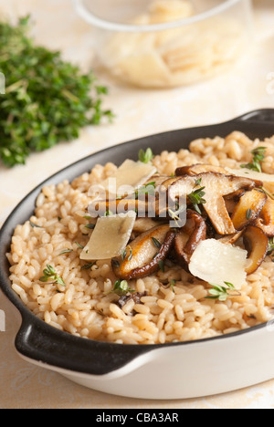 Wild risotto ai funghi con erbe aromatiche Foto Stock