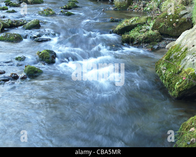 Fiume 'White Rain' Foresta Bavarese Germania / Fluss " Weisser Regen' Bayerischer Wald Deutschland Foto Stock