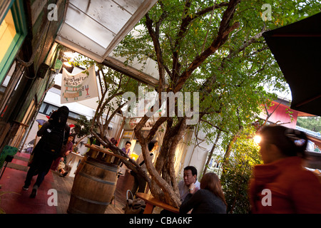 'Design Festa' cafe e spazio espositivo, in Harajuku di Tokyo, Giappone Foto Stock