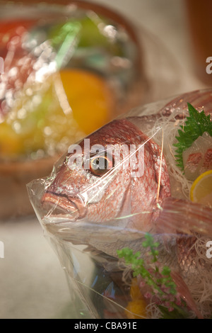 Kappabashi Dori, noto come 'stoviglie città", una strada di negozi che vendono molti cucina e ristorante prodotti, Tokyo, Giappone. Foto Stock