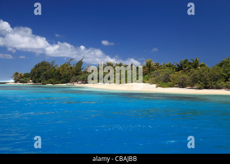 Spiaggia con alberi di noce di cocco in perfetta Laguna Blu di Maupiti, Polinesia francese. Foto Stock