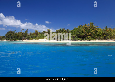 Spiaggia con alberi di noce di cocco in perfetta Laguna Blu di Maupiti, Polinesia francese. Foto Stock