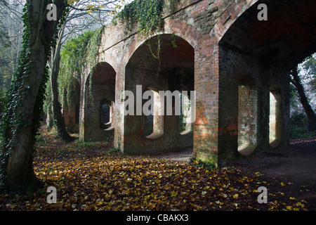 Vecchia ferrovia via e ponte a South Cerney - ora fa parte di una riserva naturale Foto Stock